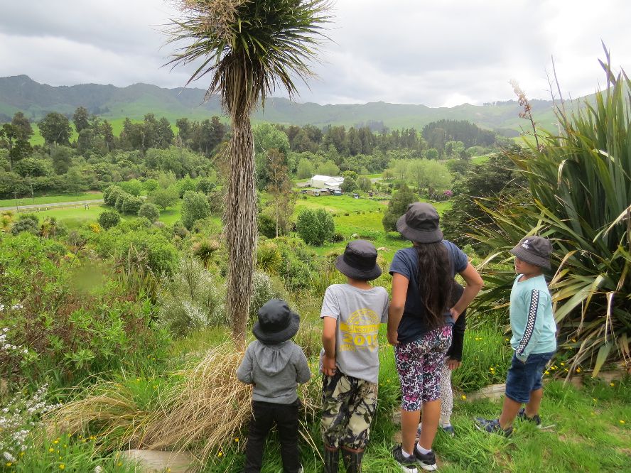 Whinray Kiwi Trust Hero Image